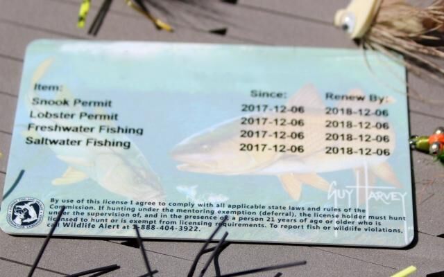 The Ultimate Guide To Disabled Fishing Licenses In The USA Fishing