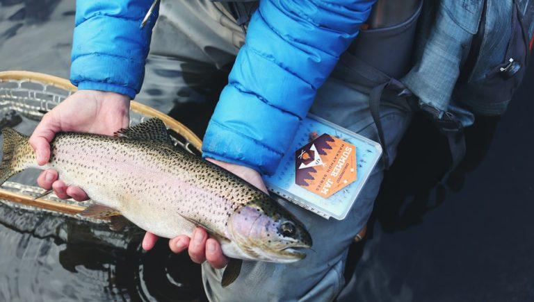 Senior Fishing License in Kentucky: Cost and Comprehensive Guide ...