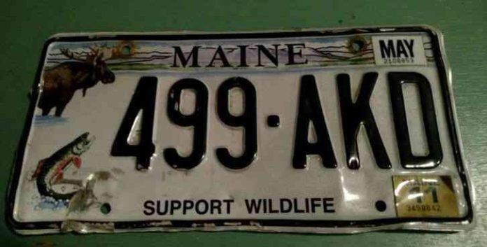 Your Guide to Buying a Lifetime Fishing License: Benefits and Process - Fishing Licence USA