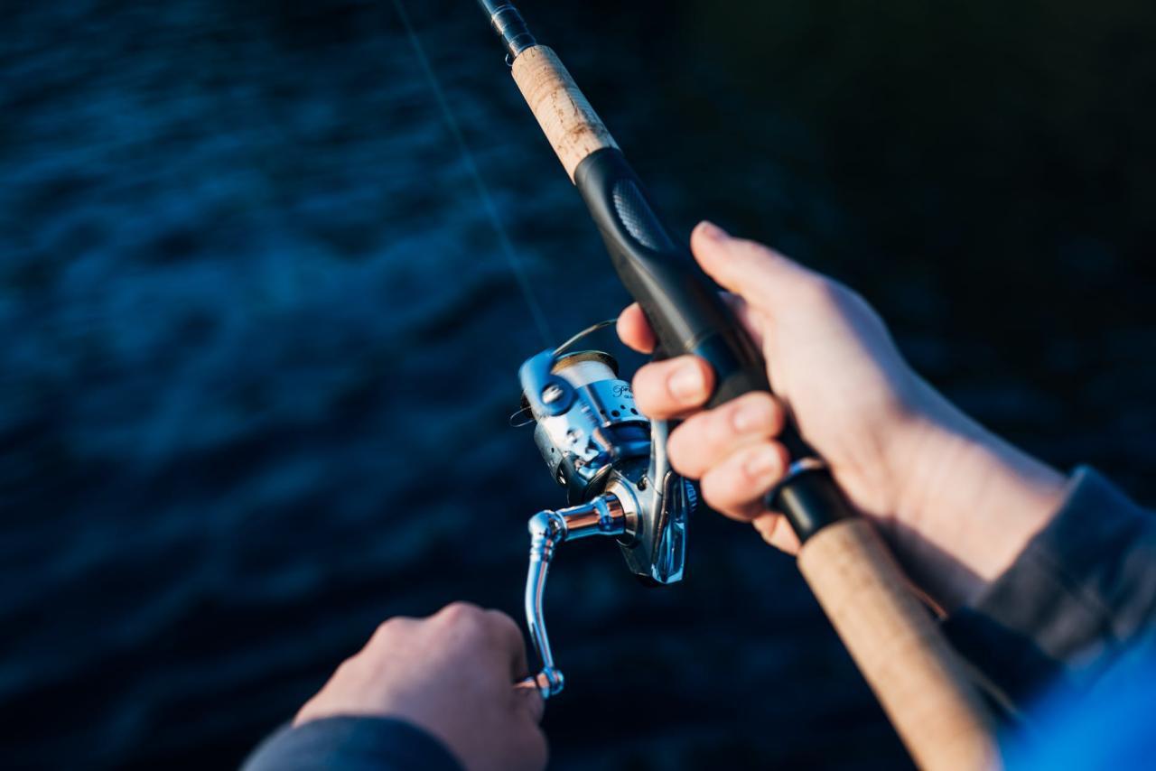 Texas Fishing License for Seniors 2024 Qualification and Requirements