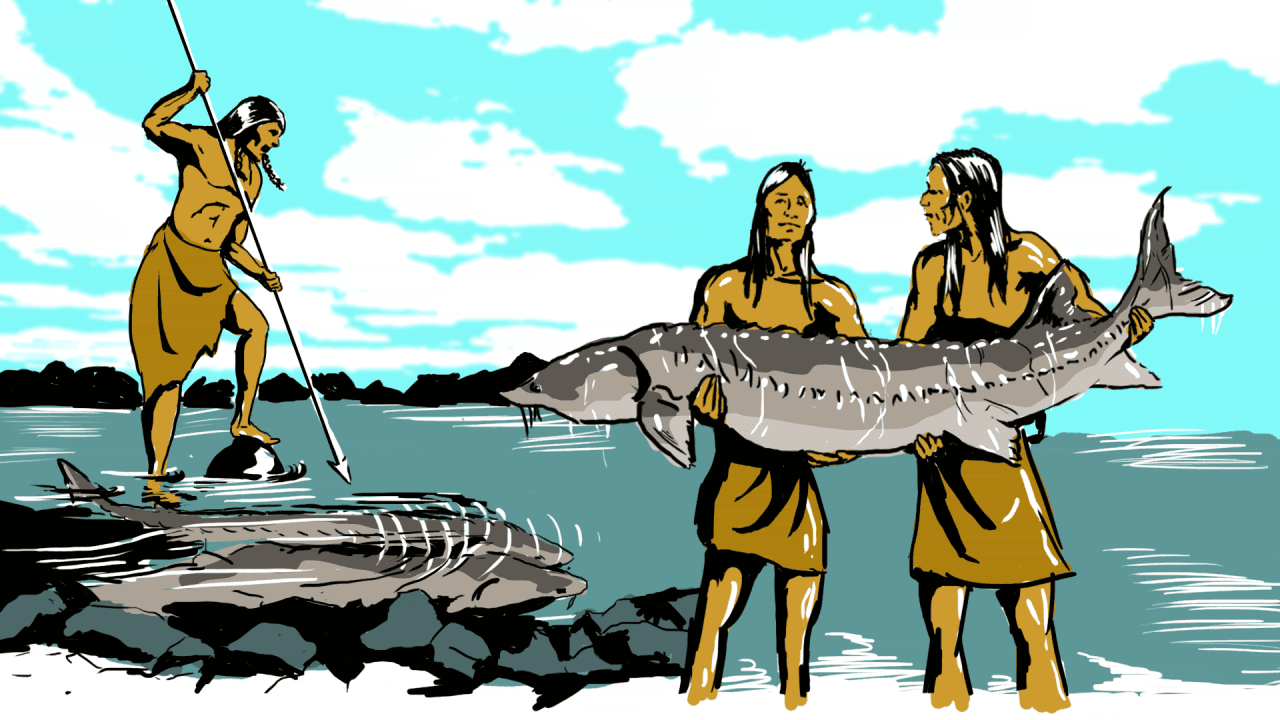 Native American Rights and Fishing Licenses: A Comprehensive Overview
