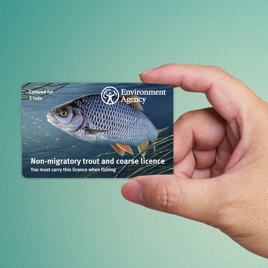 How to Look Up Your Fishing License Online Fishing Licence USA