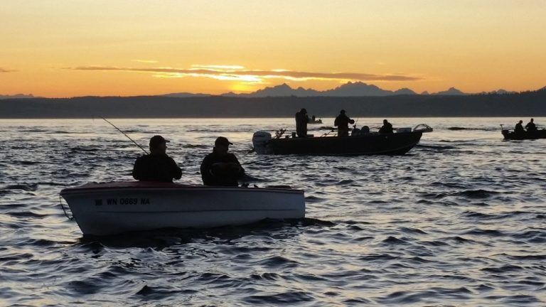 Maine Fishing License Requirements by Age (2024 Updated) - Fishing Licence USA