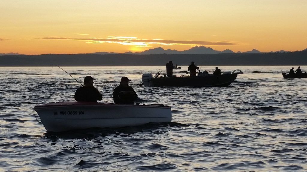 Your Ultimate Guide to Maryland Fishing Licenses: Costs, Types, and ...