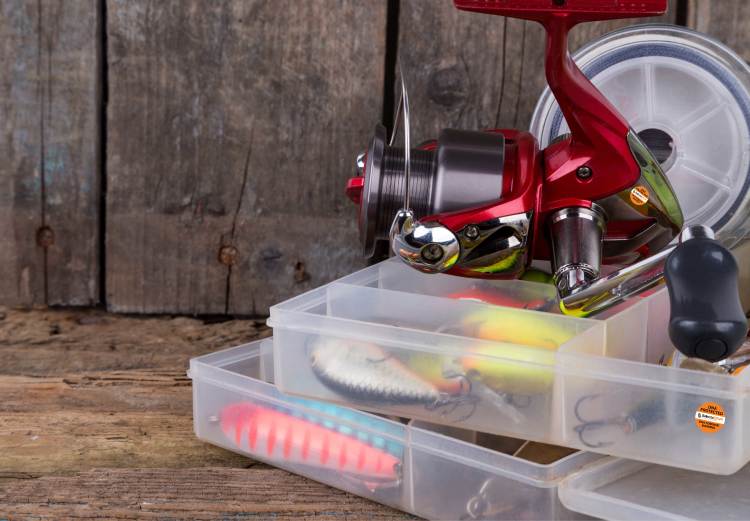 Academy Sports Your OneStop Shop for Fishing Licenses Fishing