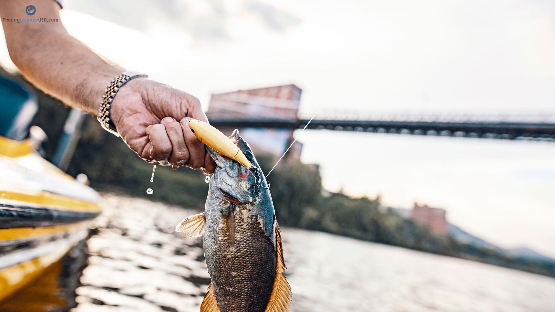 Fishing License Guide for Senior Citizens in West Virginia (2025 ...